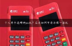 个人养卡选哪种pos机？应该如何申请办理一清机缩略图