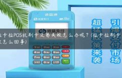拉卡拉POS机刷卡交易失败怎么办呢？(拉卡拉刷卡失败怎么回事)缩略图