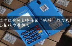 拉卡拉股份自曝存在“跳码”行为或标志整顿力度加大缩略图