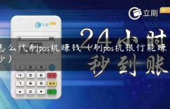 怎么代刷pos机赚钱（刷pos机银行能赚多少）缩略图