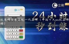 pos机有哪些是正规一线品牌（中国十大pos机品牌排行榜）缩略图
