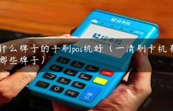 什么牌子的手刷pos机好（一清刷卡机有哪些牌子）缩略图