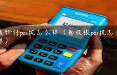 晨驿付pos机怎么样（易收银pos机怎么样）缩略图