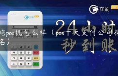 鸿pos机怎么样（pos十大支付公司排名）缩略图