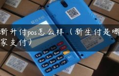 新升付pos怎么样（新生付是哪家支付）缩略图