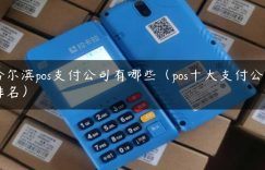 哈尔滨pos支付公司有哪些（pos十大支付公司排名）缩略图