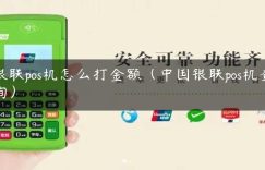 银联pos机怎么打金额（中国银联pos机查询）缩略图