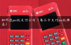 如何选pos机支付公司（第三方支付pos机排名）缩略图