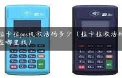 拉卡拉pos机激活码多少（拉卡拉激活码在哪里找）缩略图