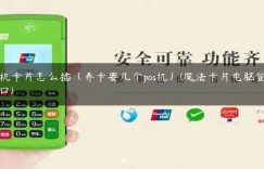 pos机卡片怎么插（养卡要几个pos机）(魔法卡片电脑登录入口)缩略图