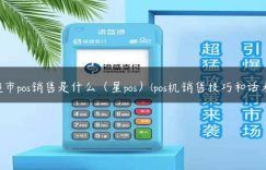 超市pos销售是什么（星pos）(pos机销售技巧和话术)缩略图