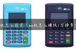 pos机怎么投资（pos机怎么赚钱1万挣多少）缩略图