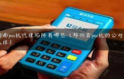 河南pos机代理陷阱有哪些（郑州卖pos机的公司怎么样）缩略图
