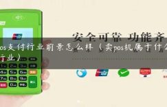 pos支付行业前景怎么样（卖pos机属于什么行业）缩略图