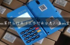 盛pos算什么行业（工作行业分类）(盛pos官网)缩略图