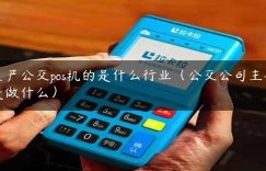 生产公交pos机的是什么行业（公交公司主要是做什么）缩略图